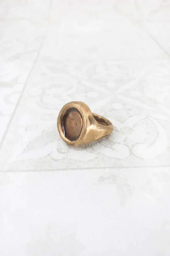 Elegant Bronze Ring Featuring Soaring Fish Design